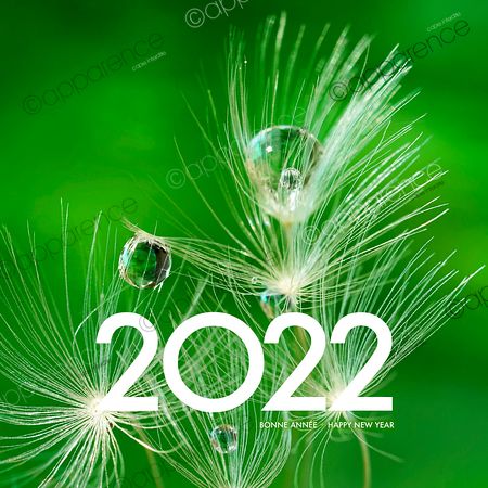 Carte de voeux Bonne Annee 2022 nature large