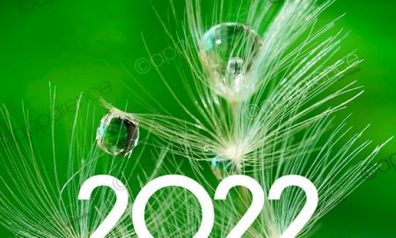 Belle et heureuse année 2022